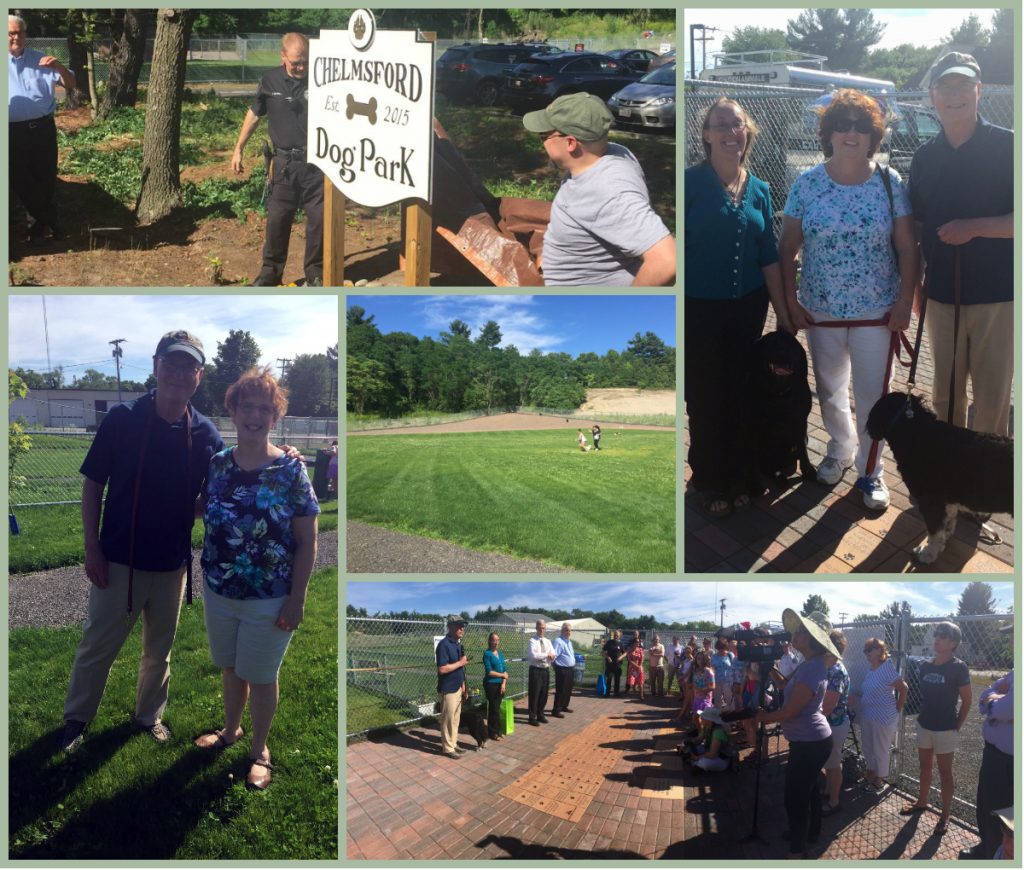 chelmsford dog park