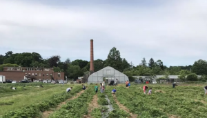 Farm